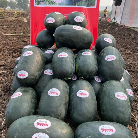 669aad0c-c85b-41a9-bc7d-79807599289b 669aad0c-c85b-41a9-bc7d-79807599289b