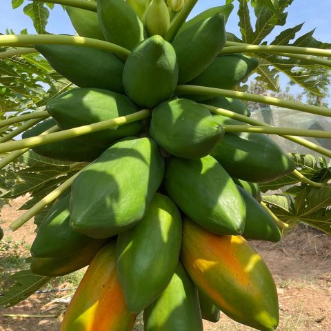 PHOTO-2024-11-13-15-24-31 PHOTO-2024-11-13-15-24-31