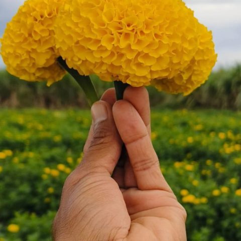 photo_6190566011787399382_y photo_6190566011787399382_y