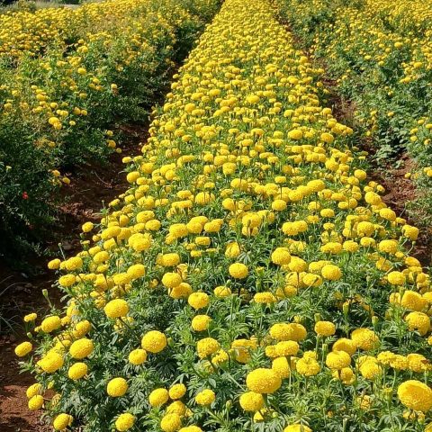 photo_6190566011787399383_y