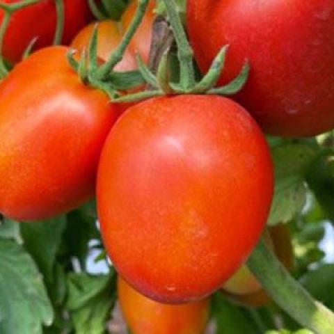 to_2174_edit to_2174_edit